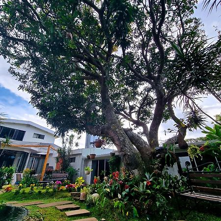 Casa Jardin Del Mango Hotel Сан Хосе Екстериор снимка