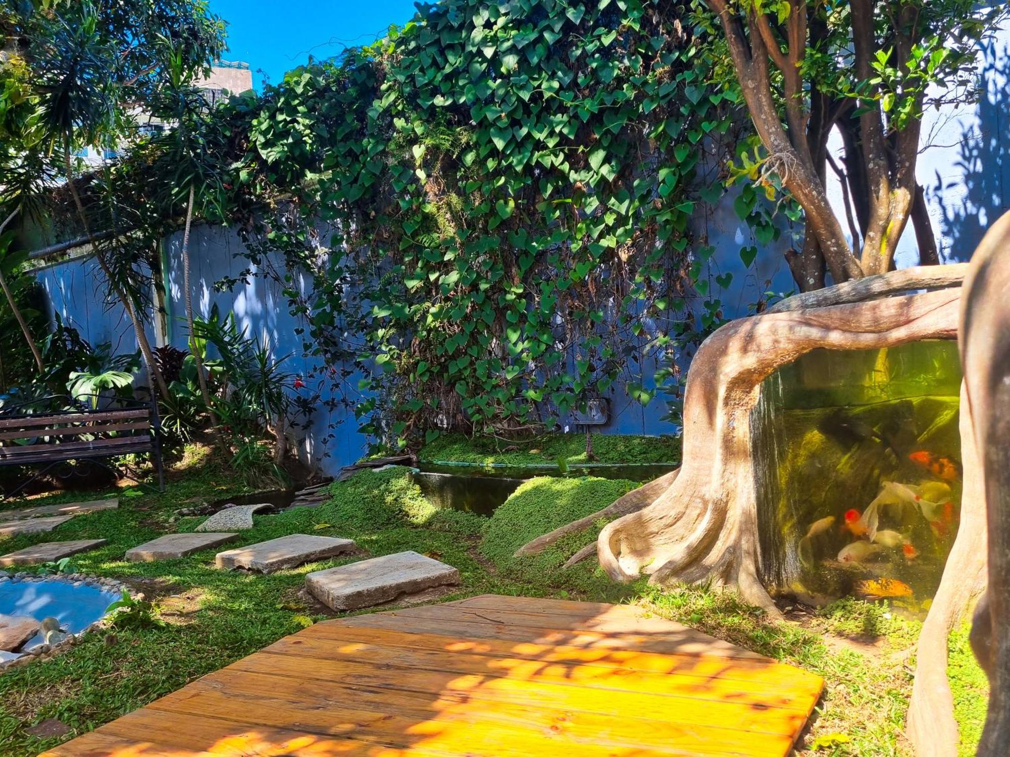 Casa Jardin Del Mango Hotel Сан Хосе Екстериор снимка