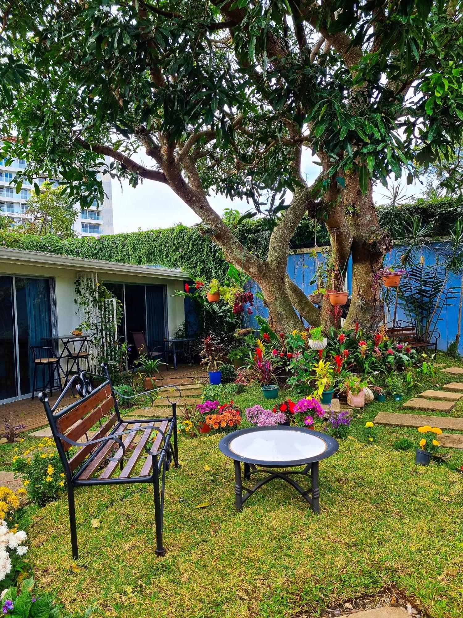 Casa Jardin Del Mango Hotel Сан Хосе Екстериор снимка