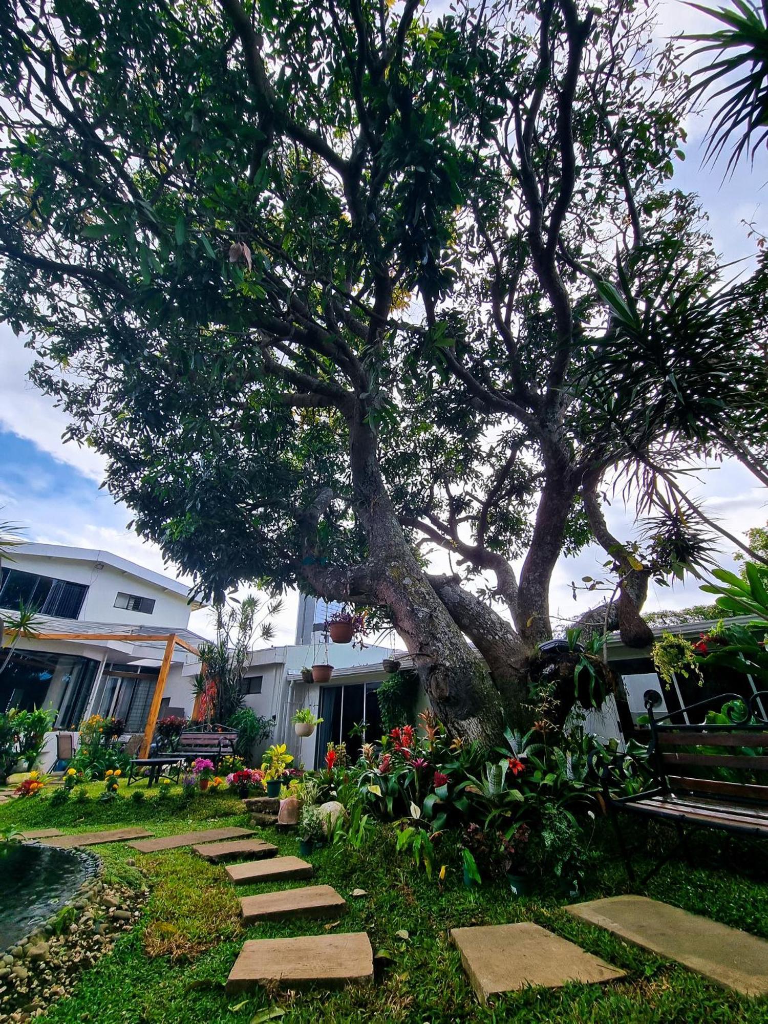 Casa Jardin Del Mango Hotel Сан Хосе Екстериор снимка
